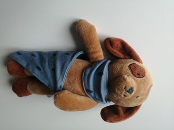 peluche chien