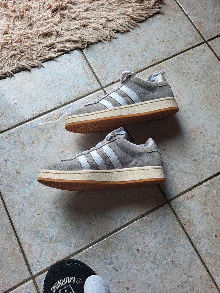 campus - photo numéro 4