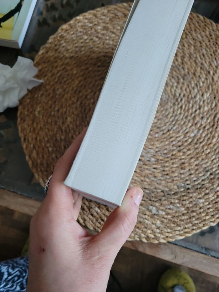 Les lumieres de l' Aube. Laureen Belfer - photo numéro 7