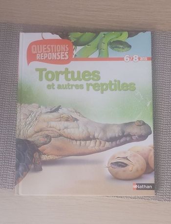 Tortues Et Autres Reptiles - Tome 10 Amanda O'Neill, Ariane Bataille
