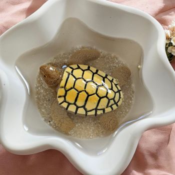 Pot à bijoux tortue original ! Vide-poche mignon fait main – Idée cadeau originale