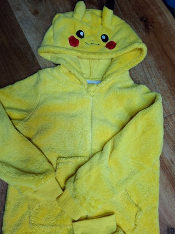 Combi polaire pokemkon