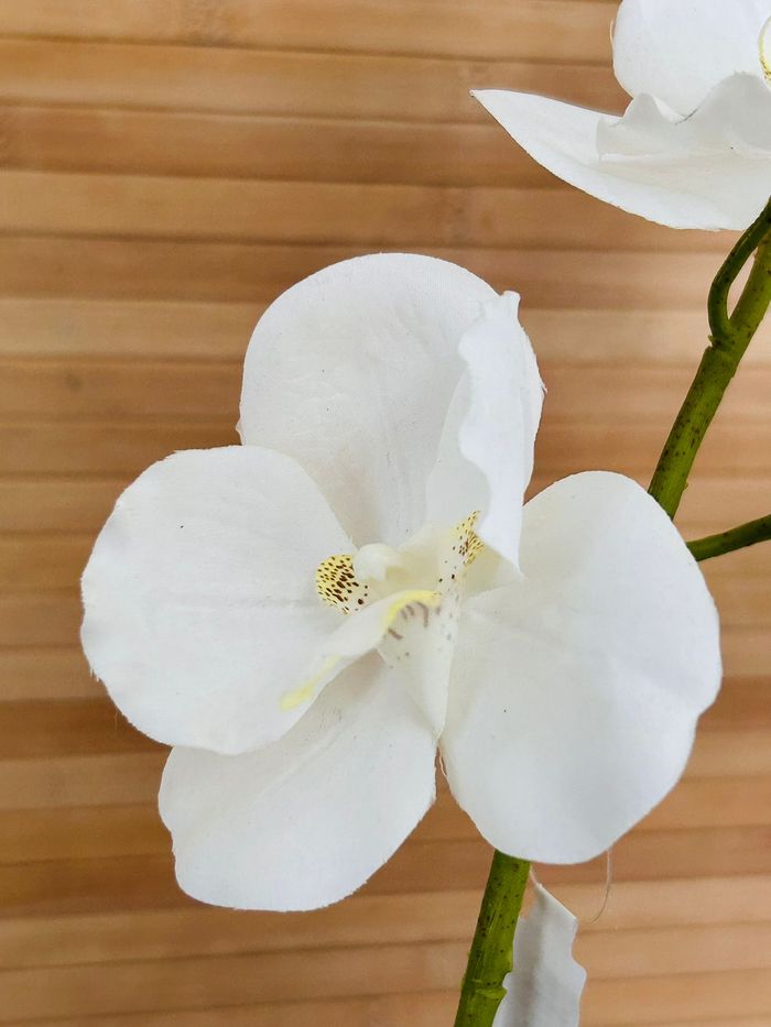 Orchidée artificielle de 60cm avec 2 branches - photo numéro 2