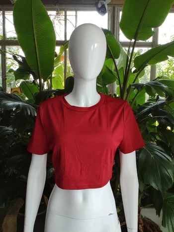 Crop top Shein Curve (lire descriptif avant achat)