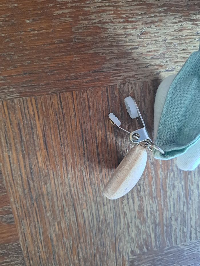 Attache suce - photo numéro 2