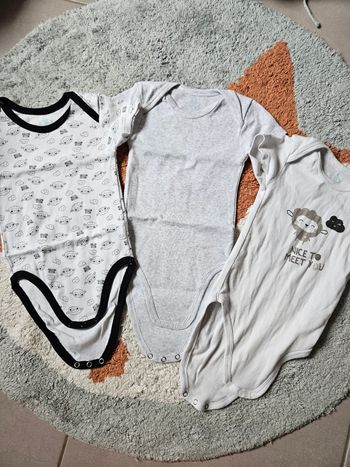 Lot de 3 bodies mouton - 24 mois