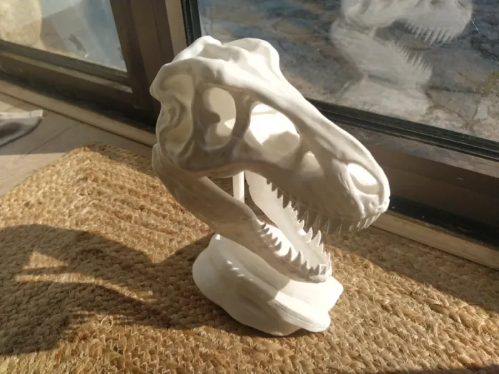 Crâne de T-Rex tyrannosaure Jurassic park - photo numéro 9