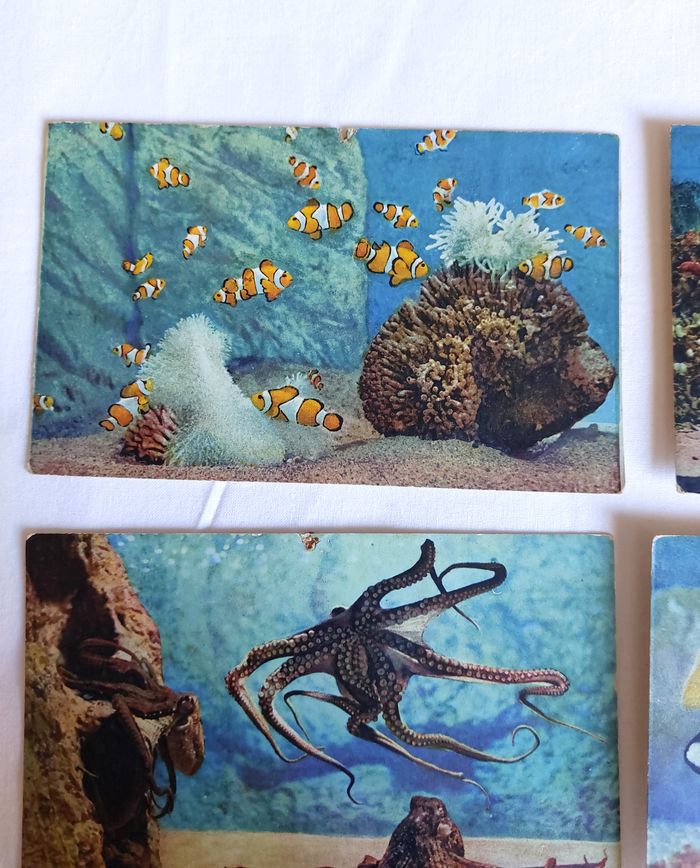 Lot 5 Cartes postales anciennes CPA Aquarium de Monaco - photo numéro 2