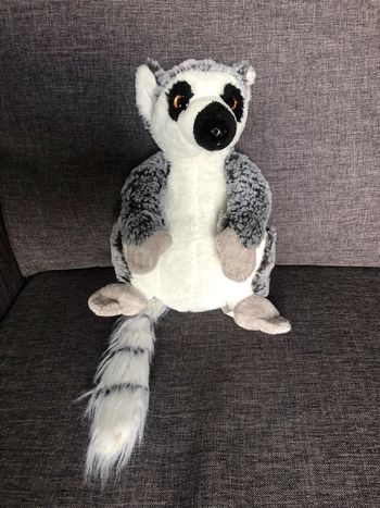 Peluche raton laveur