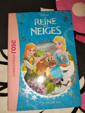 Lot livre reine des neiges