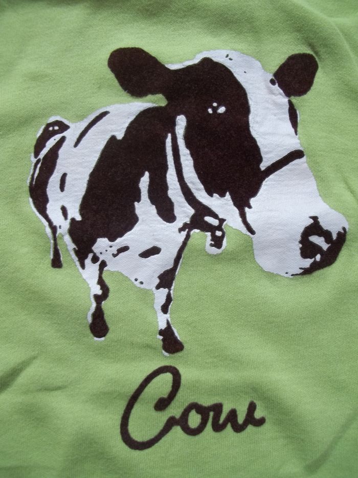 Sous-pull vert "Cow" Zara Girls 11/13 ans - photo numéro 2