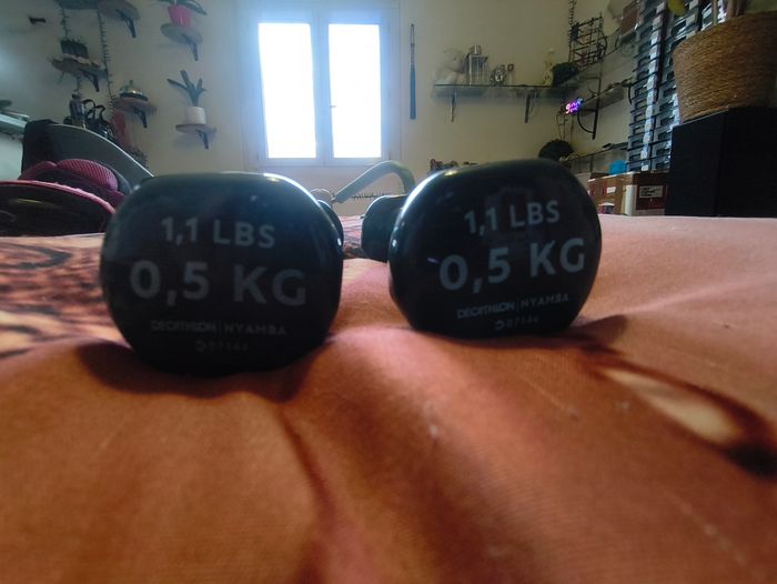 1 paire d'altere 500gr - photo numéro 3