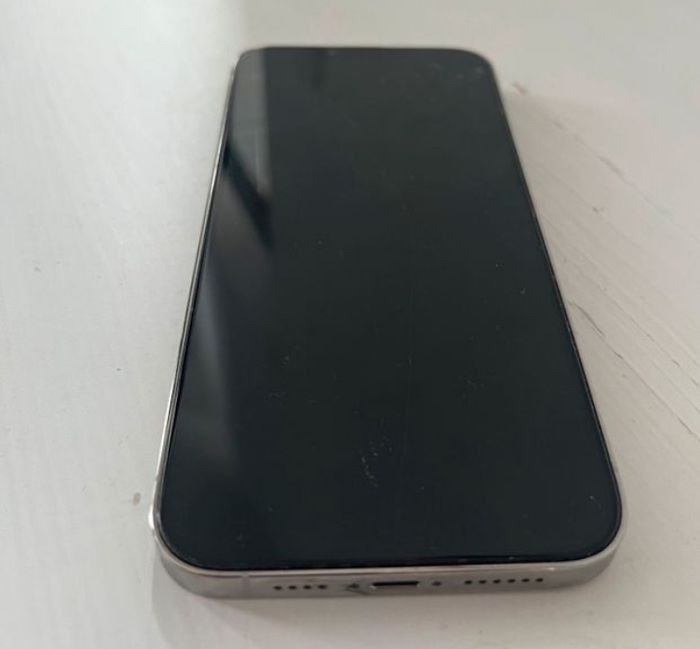 Apple treize pro max. - photo numéro 2