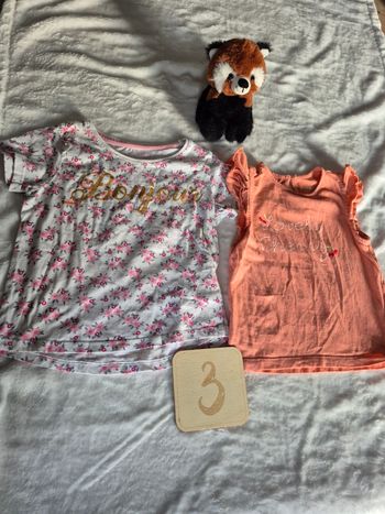 Lot 2 tee-shirts 3ans