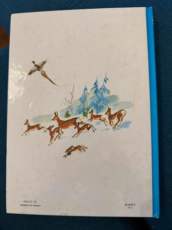 1979 Livre ancien Bambi le Chevreuil Félix Salten Pierre Probst La Galaxie - photo numéro 2