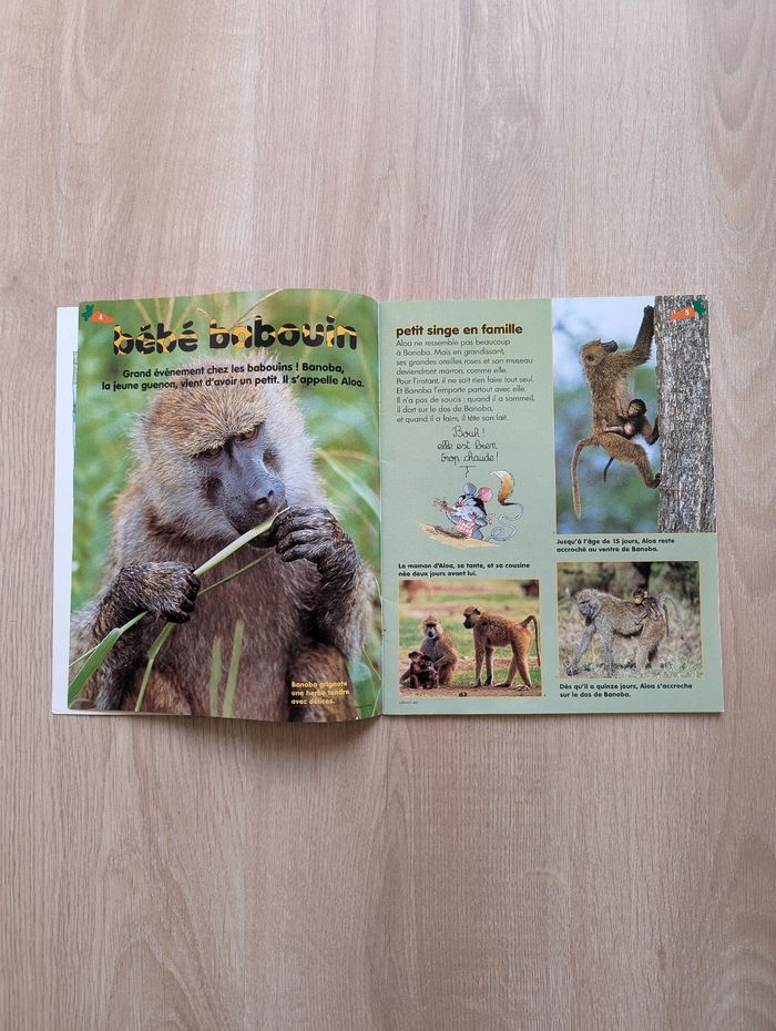 Magazines enfant Wakou - photo numéro 3