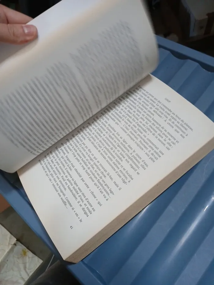 Loup livre - photo numéro 7