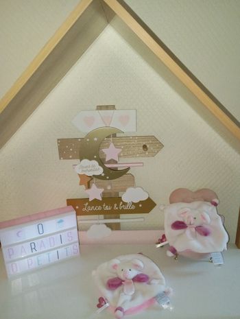 Lot de 2 doudous souris