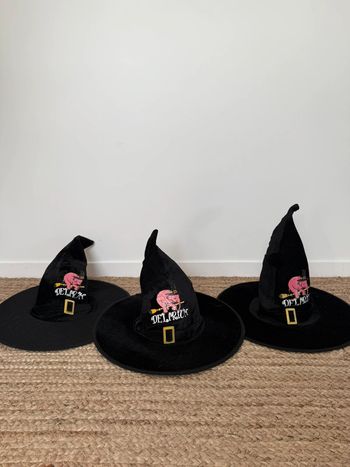 Chapeau de sorcière Halloween déguisement décoration collection Collector