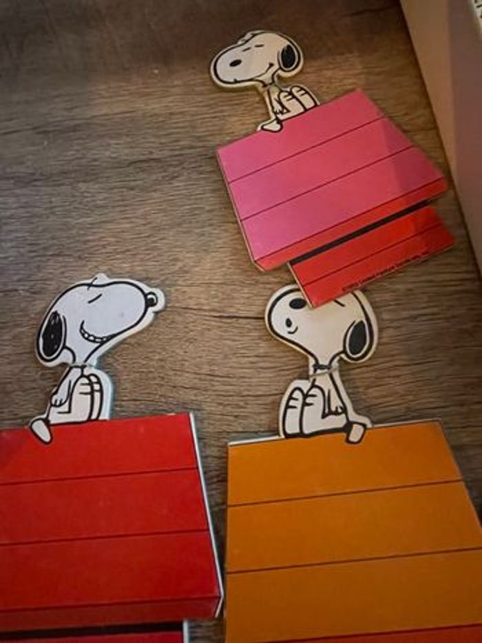 Snoopy et sa niche - photo numéro 2