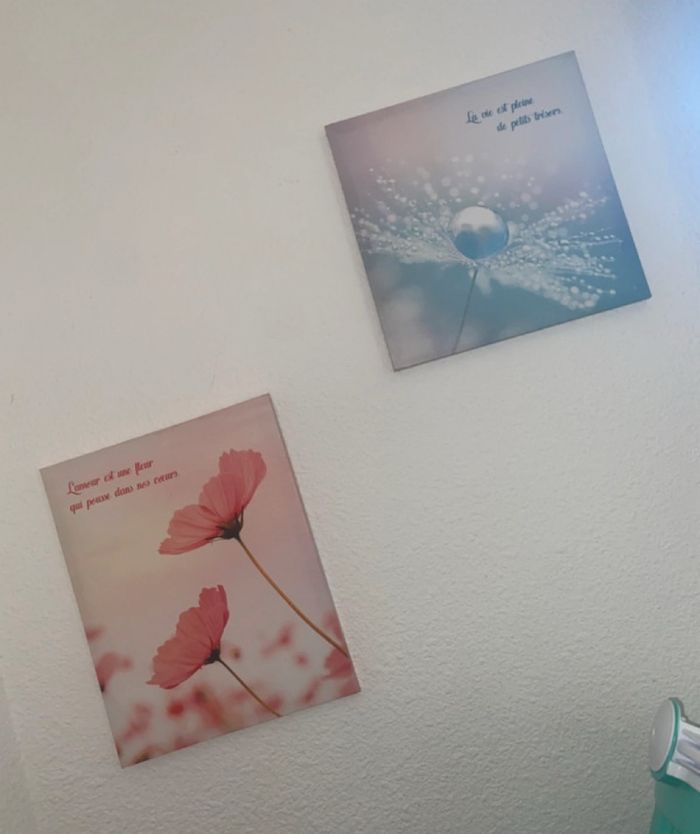 Lot de deux cadres décoratifs en toile