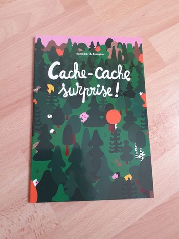 Livre cache-cache surprise