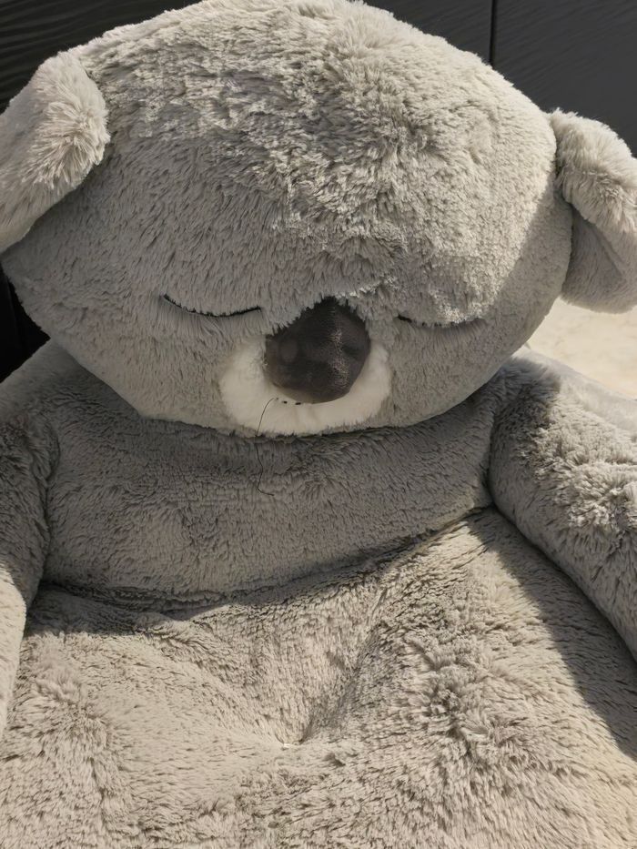 🤩😍🐨🐨 superbe Fauteuil peluche koala (maison du monde) 🤩😍🐨🐨pas de looker. - photo numéro 2