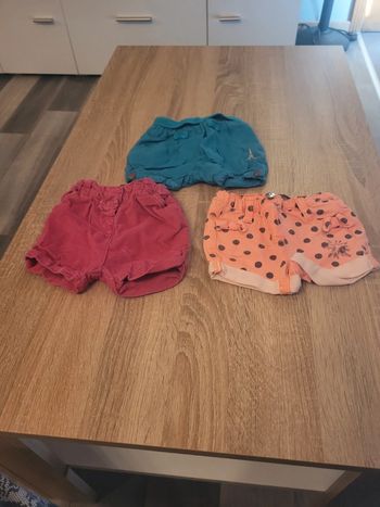 Lot 3 short