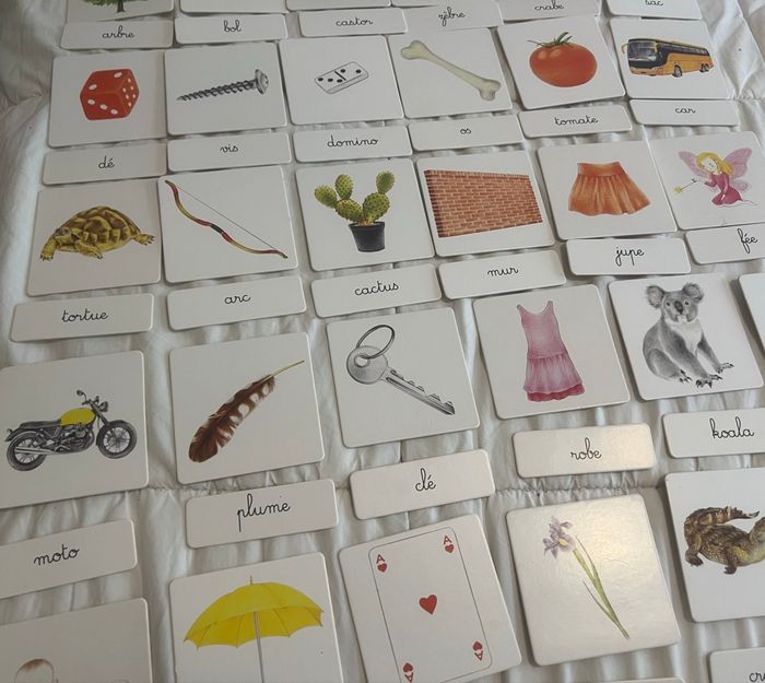 Mon grand coffret de lecture montessori - photo numéro 4