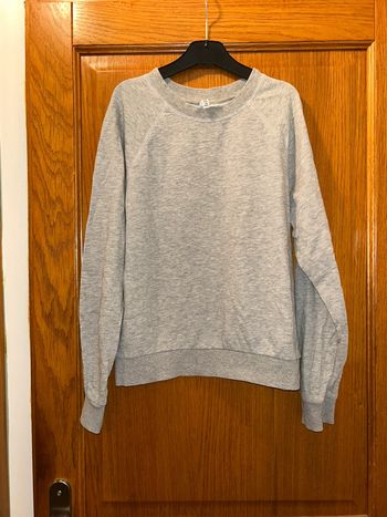 Sweat gris