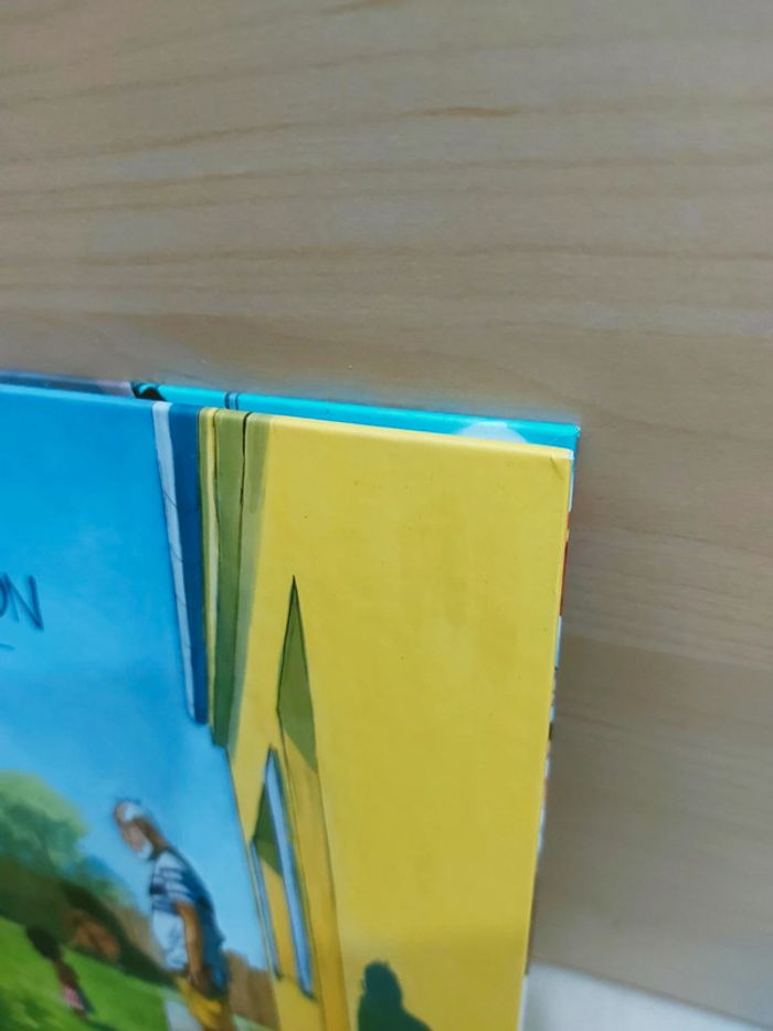 📚 Livre : L'adoption Qinaya - photo numéro 7