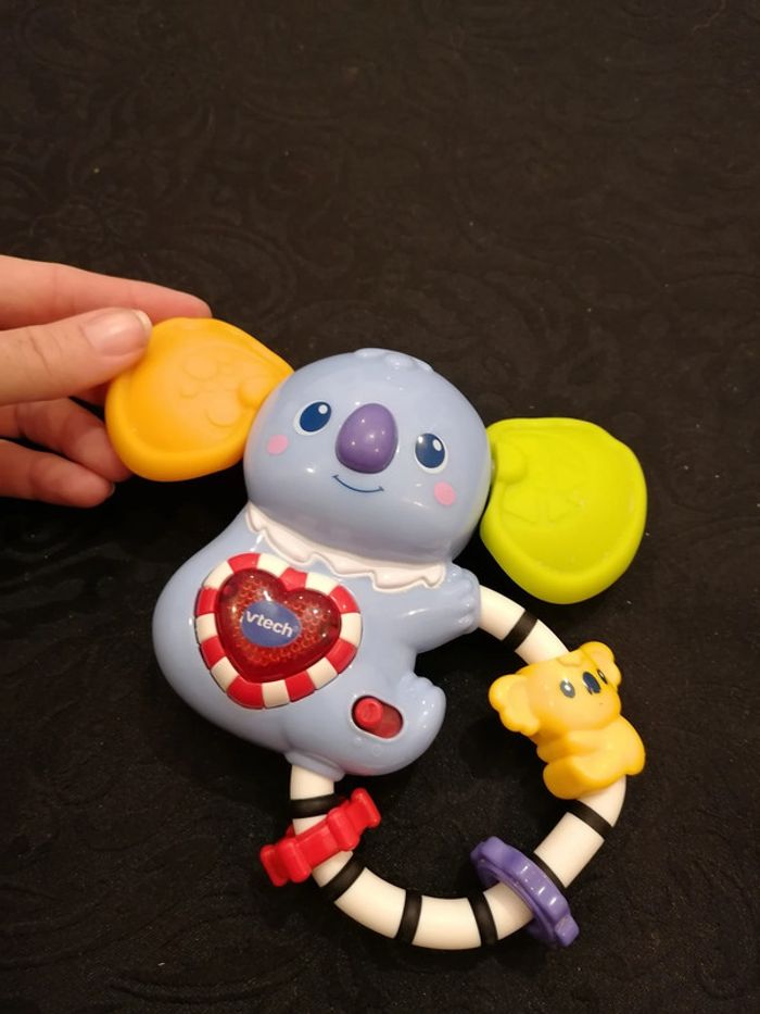 Koala - photo numéro 2