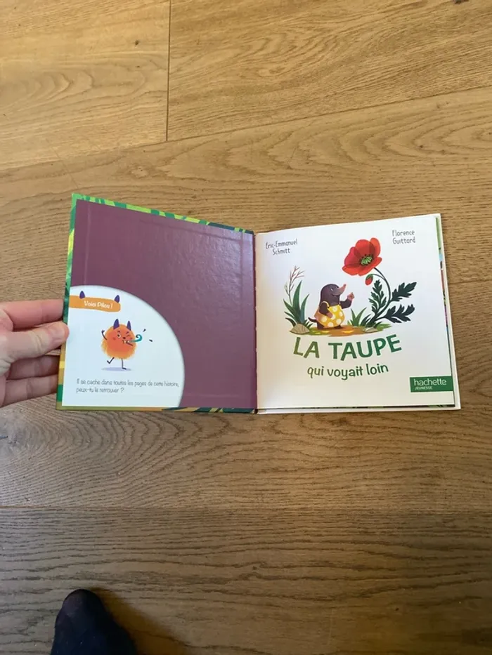 Livre - photo numéro 2
