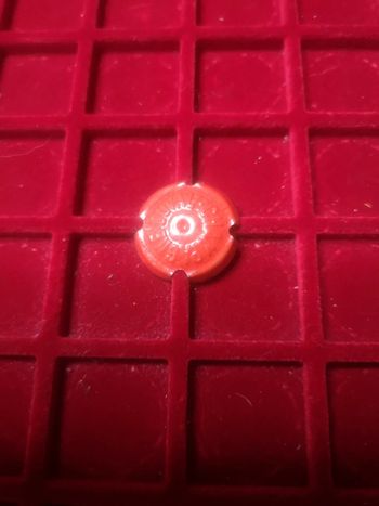 Capsule de champagne
