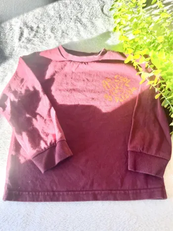 Très beau pull à longue manche pour petit garçon