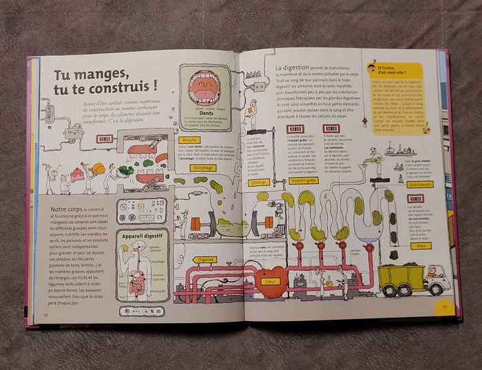 Sciences - 6/9 Ans Nathalie Audard, Philippe Monges, Maryline Coquidé, Joël Lebeaume - photo numéro 4