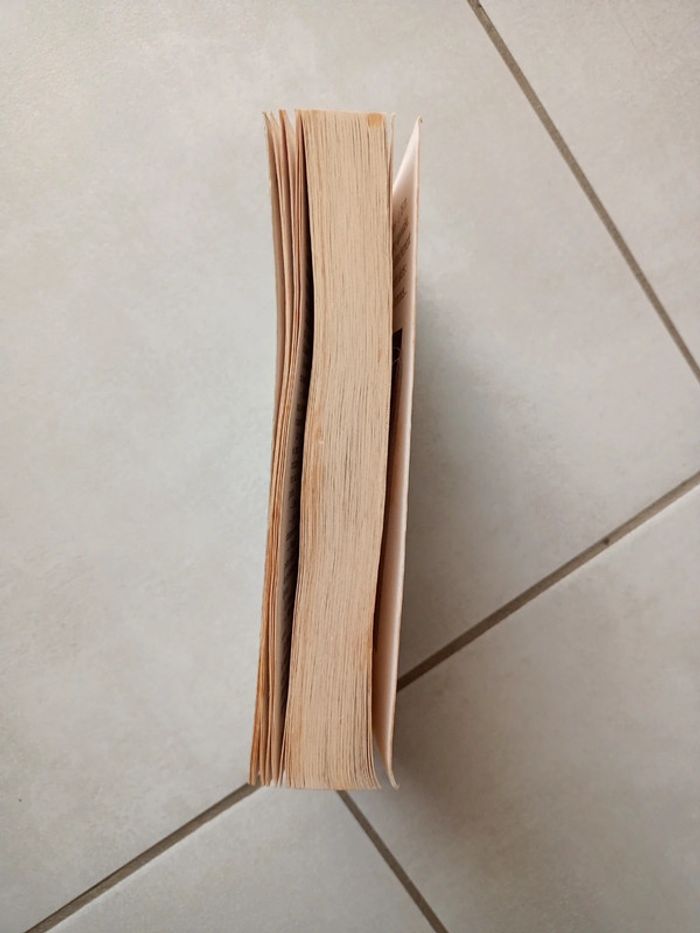 Livre Tokyo chaos Anne Rambach - photo numéro 4