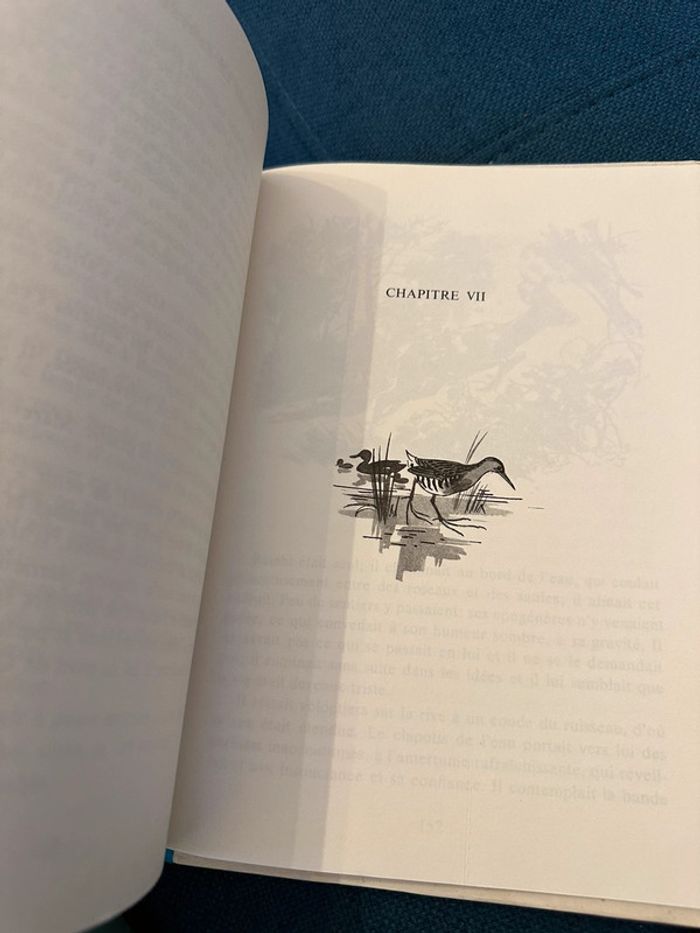 1979 Livre ancien Bambi le Chevreuil Félix Salten Pierre Probst La Galaxie - photo numéro 10