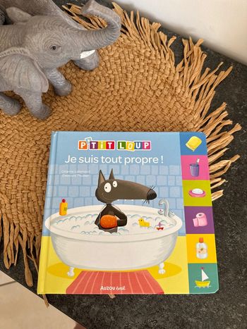 Livre p’tit loup je suis tout propre