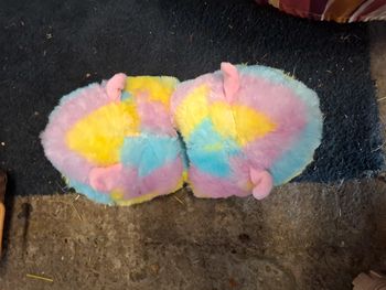 Pantoufle