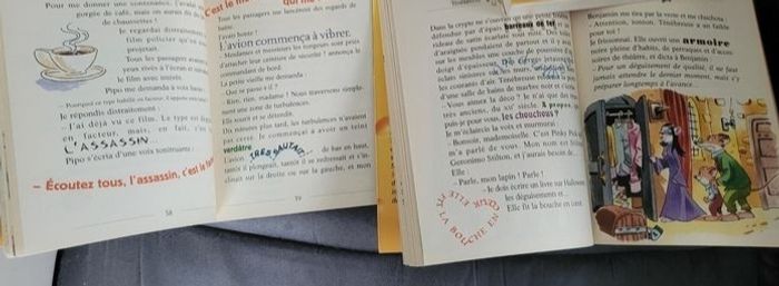 lots de 2  livres geronimo stilton  (4e) - photo numéro 2