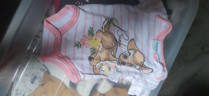 Lot de 10 bodys - photo numéro 5