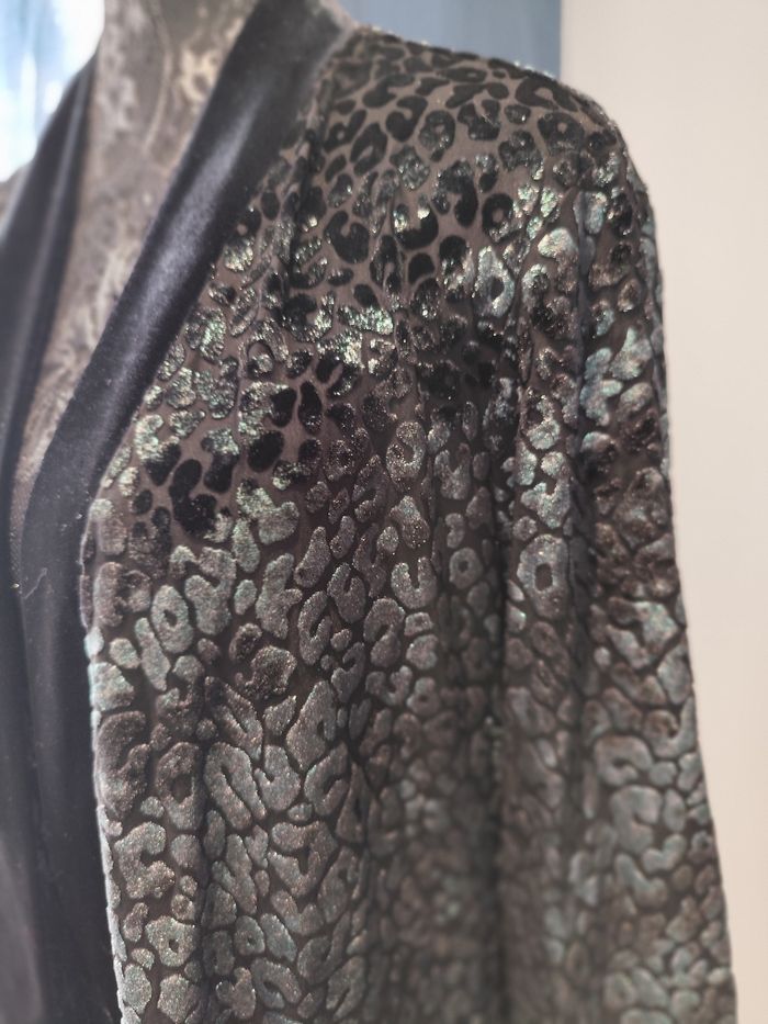 Blazer - photo numéro 2