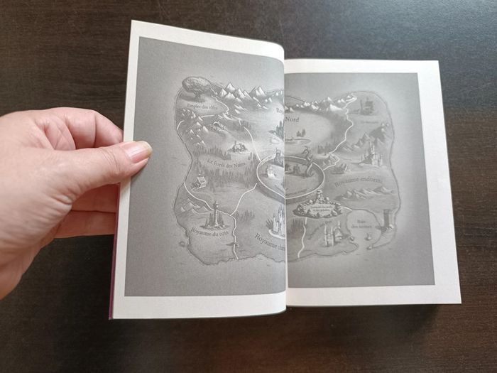 Livre LE PAYS DES CONTES: LE RETOUR DE L'ENCHANTERESSE - photo numéro 4