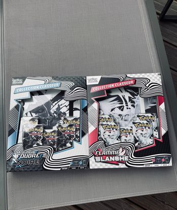 Lot de 2 classeurs ev10.5 pokémon