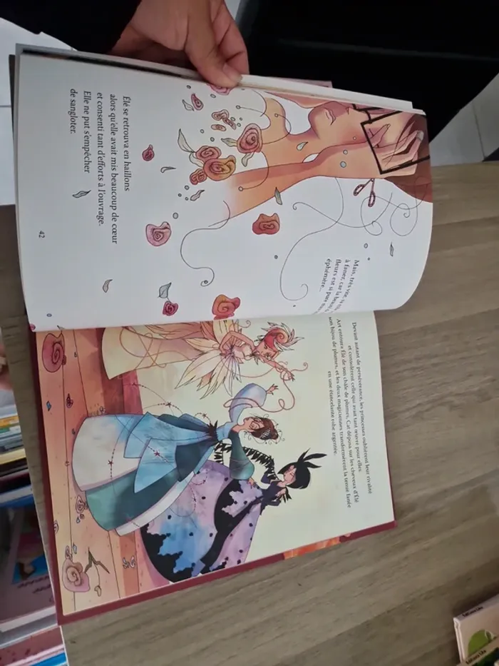 Livre de princesses - photo numéro 5