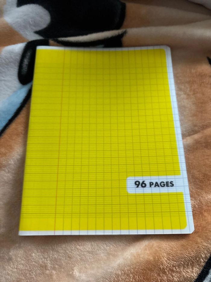 Lot cahier - photo numéro 10