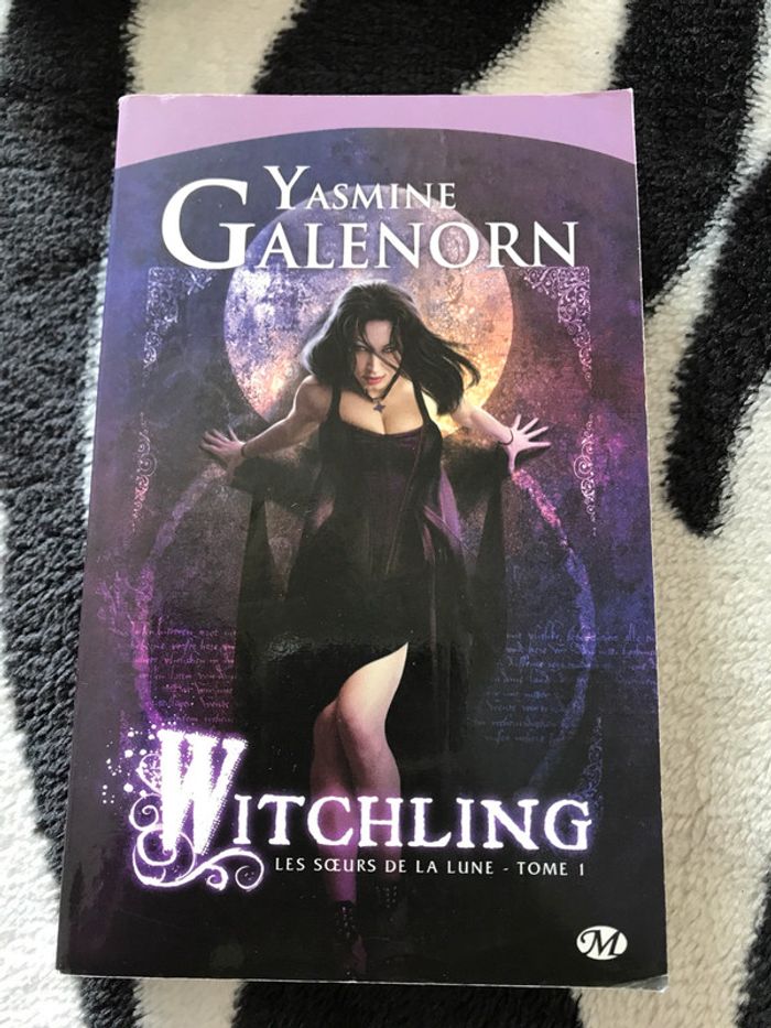 Livres - photo numéro 4