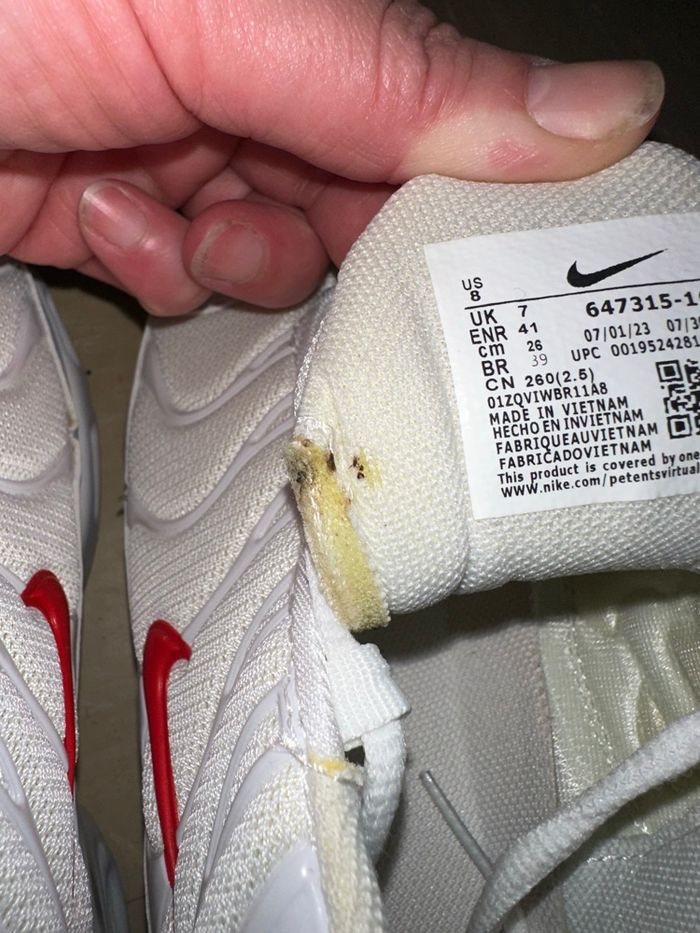 Imitation TN requin - photo numéro 8