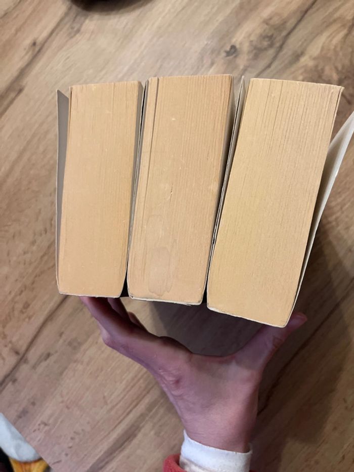 Lot 3 livres Cinquante Nuances de Grey - photo numéro 5